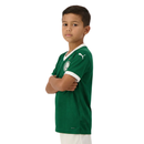Kit Infantil Palmeiras 25/26 Home
